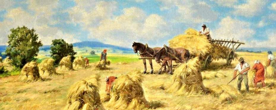 Svoz obilí - lidové zvyky a pověry a jak ho ochránit před škůdci a živly