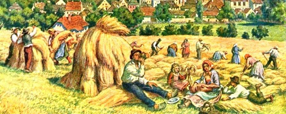 Žně, zazvonily kosy, lidové zvyky a pověry sekáčů