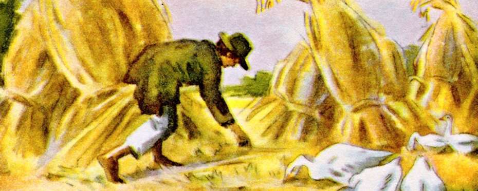 Paběrkáři, paběrkování nebo také kláskování