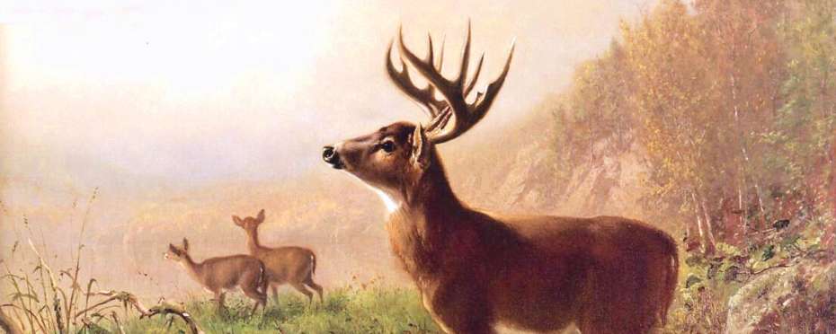 Sv. Hubert a svatohubertský kult