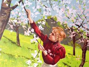 05_Boží tělo a magická zeleň.jpg