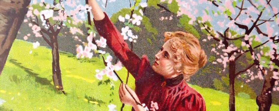 Boží tělo a magická zeleň – lidové zvyky a pověry, kterým věřili naši předci