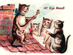 Maud