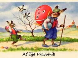 Pravomil