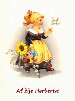 Herberta