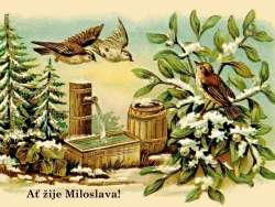 Miloslava