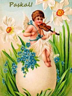 Paskal