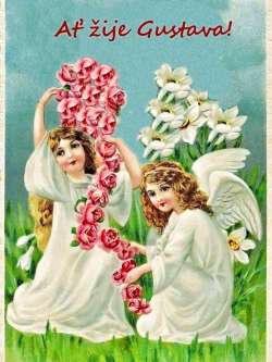 Gustava