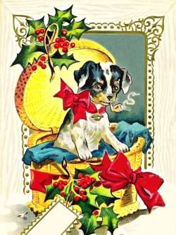 Blahopřání k narozeninám