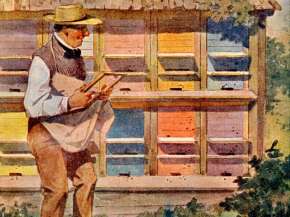 20.5. den včel-.jpg