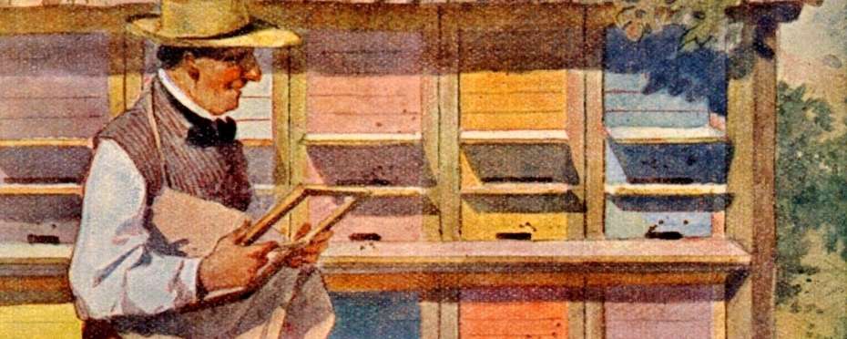 Světový den včel - o včelách a medu