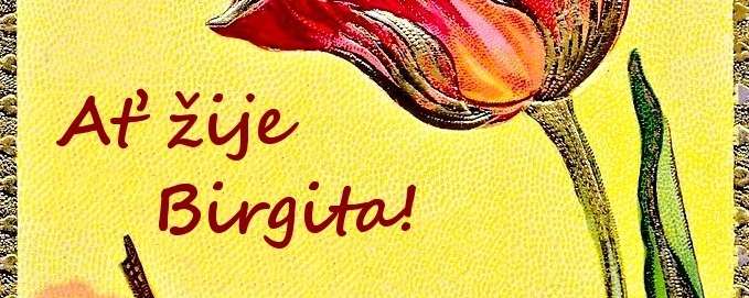 Birgita