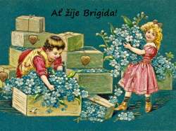 Brigida