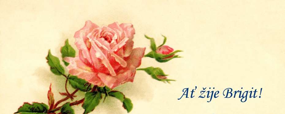 Brigit