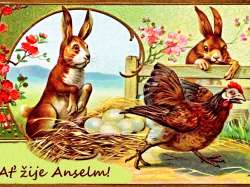 Anselm