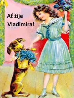 Vladimíra