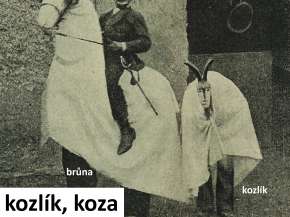 24_Koza, kozlík.jpg