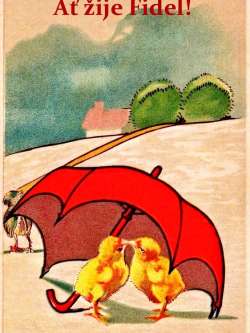Fidel