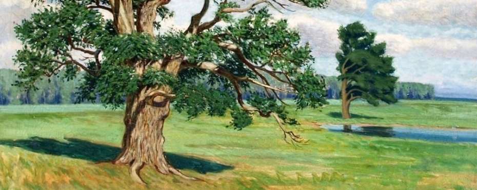 Dub, strom letního slunovratu a lidové pověry, kterým věřili naši předci