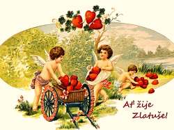Zlatuše