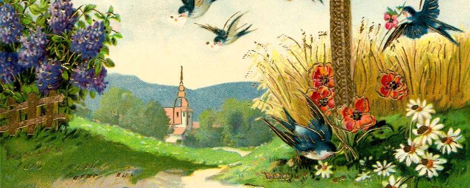 Anenské slavnosti, lidové tradice, poutě a pověry