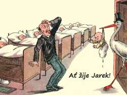 Jarek