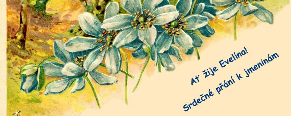 Evelína