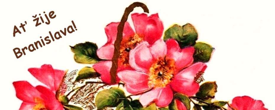 Branislava