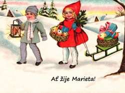 Marieta