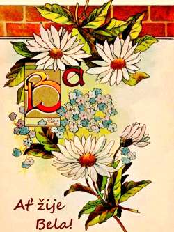Bela