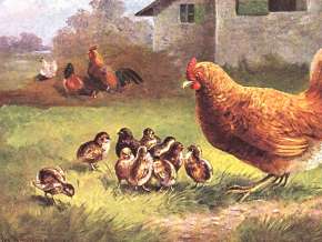 4.7. Prokop a pověry.jpg