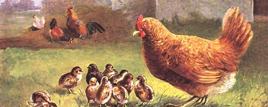 Sv. Prokop a pověry, kterým věřili naši předci