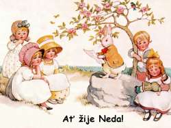 Neda
