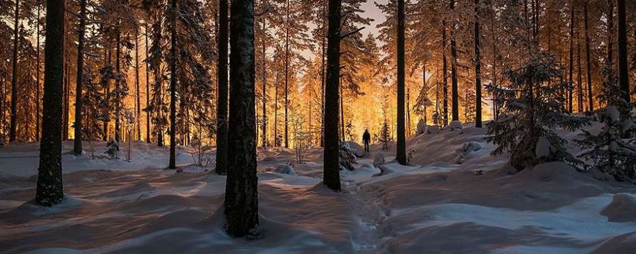Pověsti a povídačky o Fextech