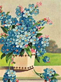 Blahopřání k narozeninám