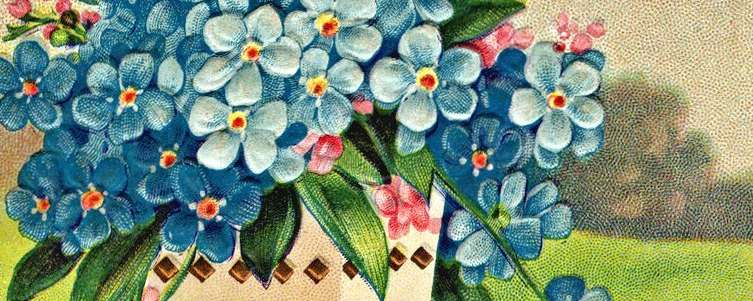 Blahopřání k narozeninám