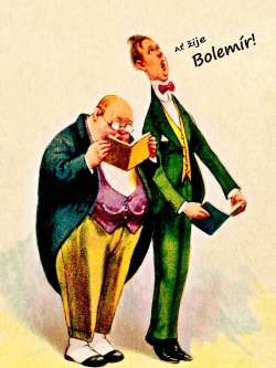 Bolemír