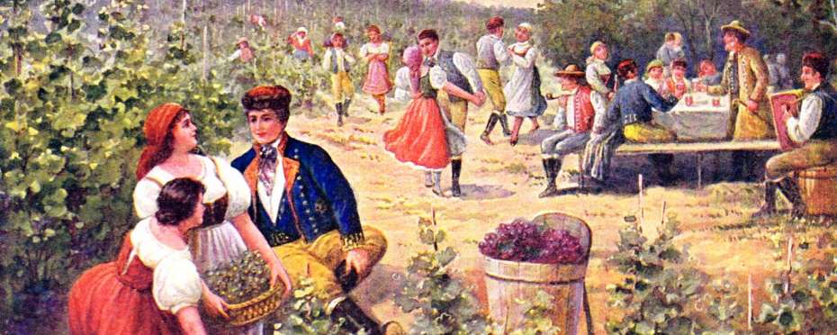 Vinařské pověry a pranostiky