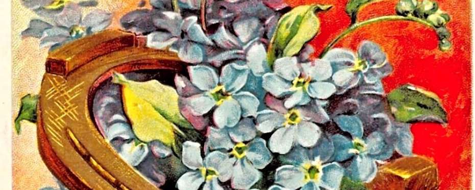 Blahopřání k narozeninám