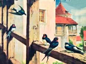 8_1923_27_září_Vlaštovky a jiřičky, školní obraz Aukro-.png