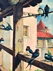 8.9. Tradice v den narození P. Marie