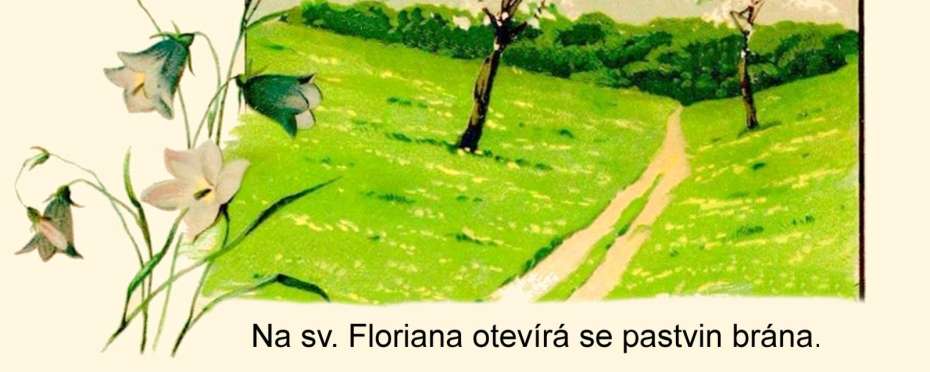 Na svatého Floriána otevírá se pastvin brána, o počasí a pranostiky