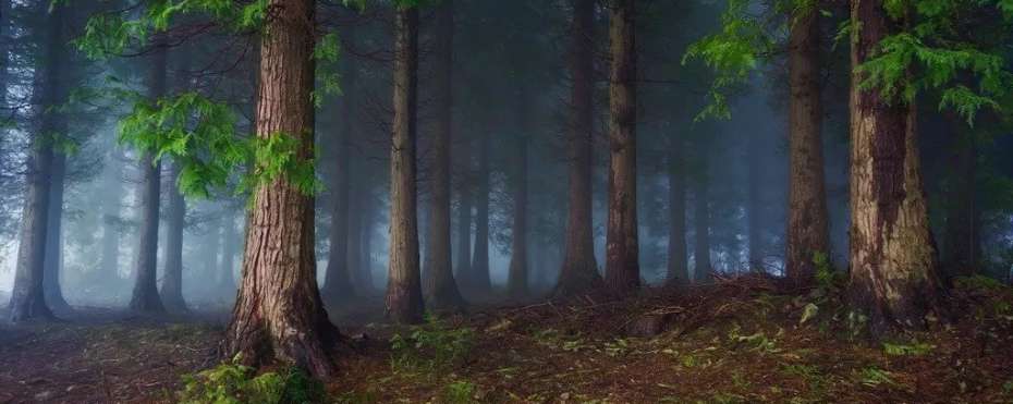 O hejkalovi, lidové bájné představy a pověry