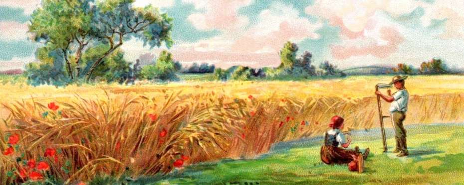 Staročeské členění roku a co je podletí nebo poletí