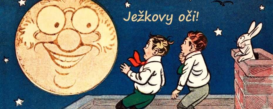 Proč se říká – Ježkovy oči