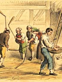 Mlácení obilí a domlaty