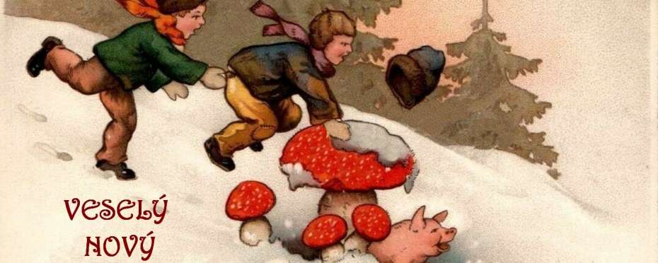 Symboly štěstí - muchomůrka červená