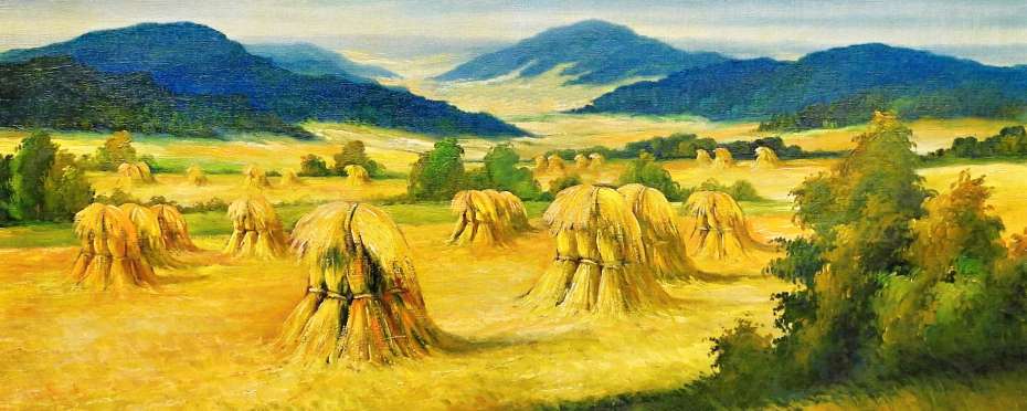 Obilná terminologie - snop, panák a mandel