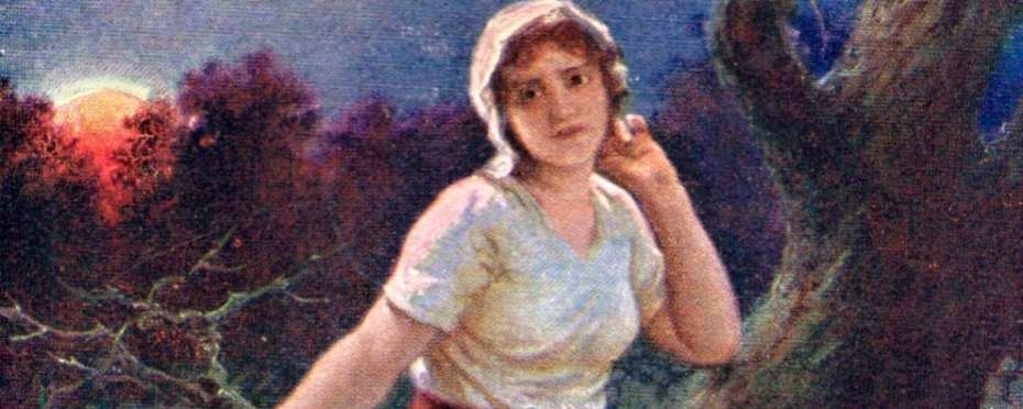 Svatojánské byliny v pověrách – třezalka tečkovaná, bylina sv. Jana