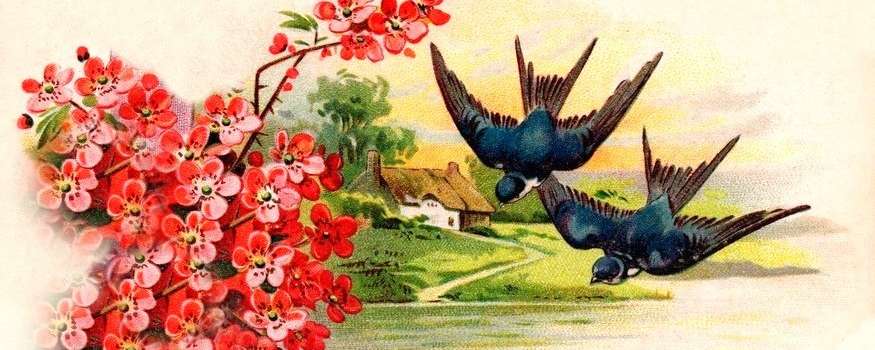 Panny Marie Zvěstování vlaštovičky zpět přihání - mariánské jaro (cca od 17.3. do 5.4.)